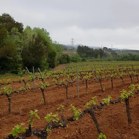Casa Rural La Fabrega *