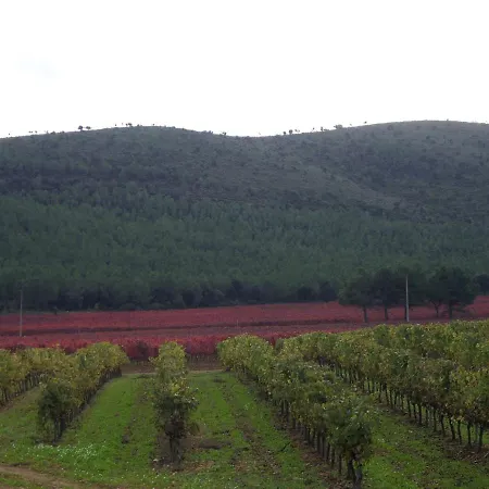 Casa Rural La Fabrega Horská chata Aiguamurcia