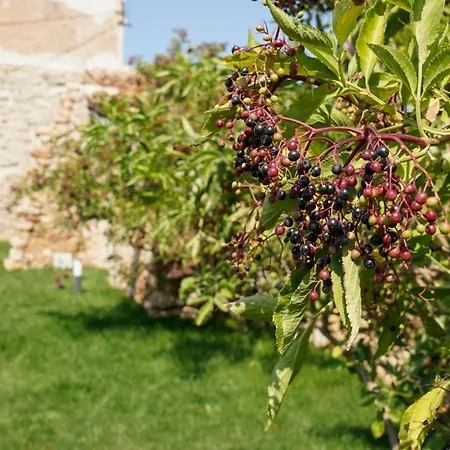 Horská chata Casa Rural La Fabrega Aiguamurcia